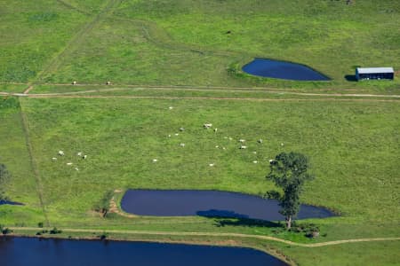 Aerial Image of COWS