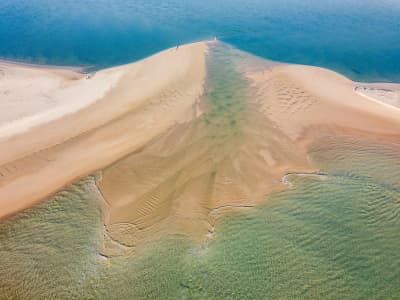 Aerial Image of SAND ISLAND IN THE MAROOCHY RIVER
