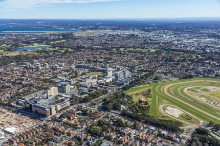 Aerial Image of RANDWICK