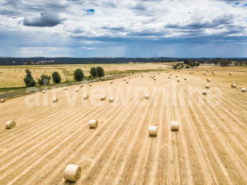 Aerial Image of Hay bails in a paddock