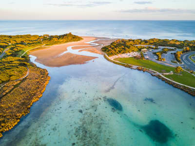 Aerial Image of ANGLESEA RIVER