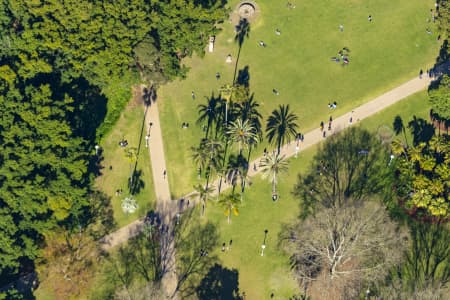 Aerial Image of HYDE PARK SYDNEY