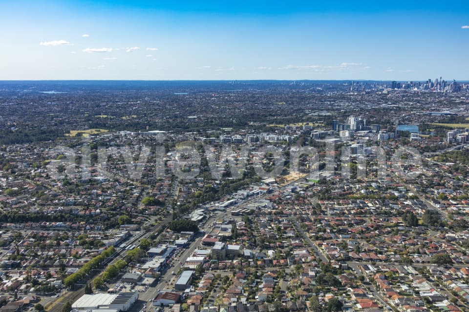 Aerial Image of Banksia