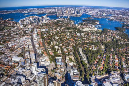 Aerial Image of ST LEONARDS