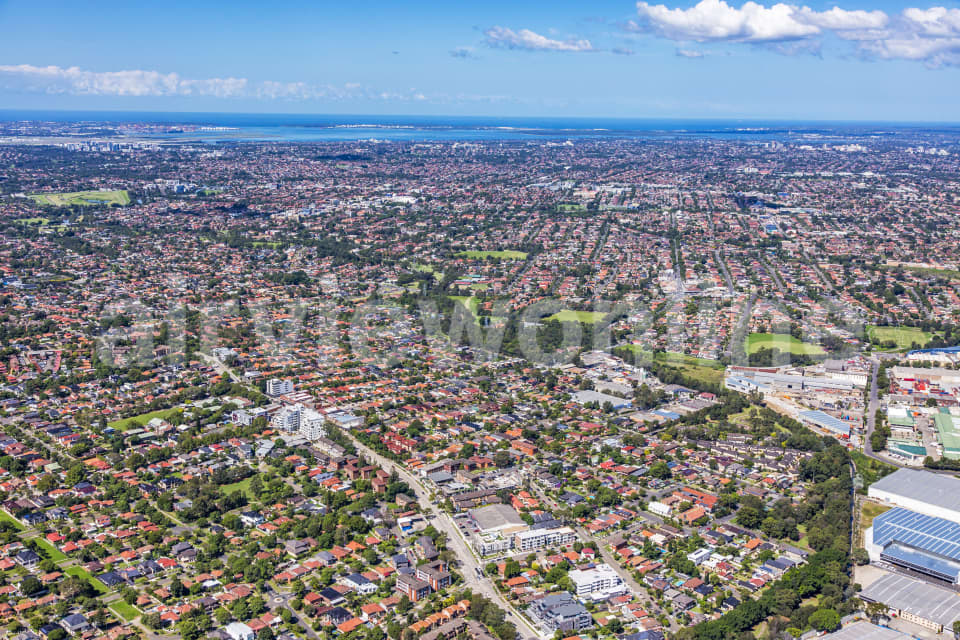 Aerial Image of South Strathfield