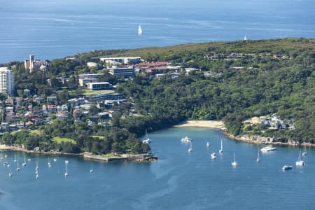 Aerial Image of MANLY