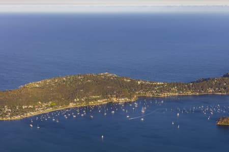 Aerial Image of PALM BEACH