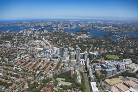 Aerial Image of ST LEONARDS