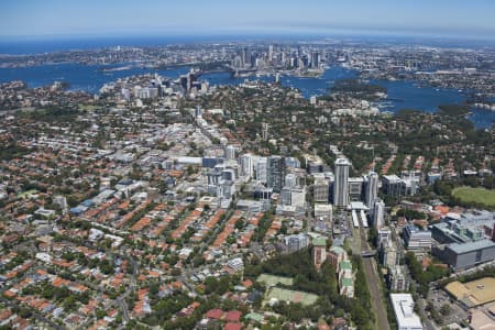 Aerial Image of ST LEONARDS