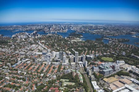 Aerial Image of ST LEONARDS