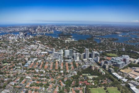 Aerial Image of ST LEONARDS