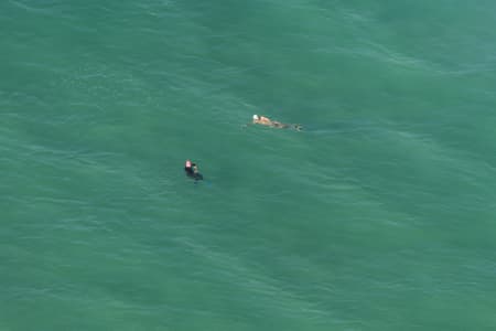 Aerial Image of BONDI BEACH SURFING SERIES