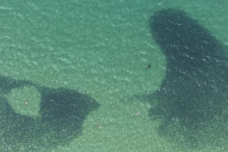 Aerial Image of SEAL SERIES BONDI