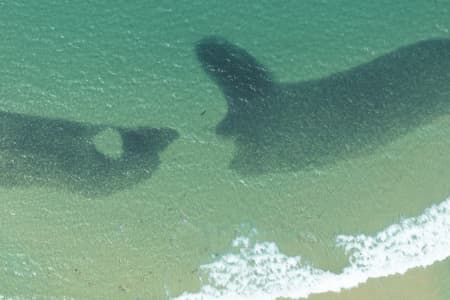 Aerial Image of SEAL SERIES BONDI