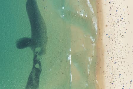 Aerial Image of SEAL SERIES BONDI