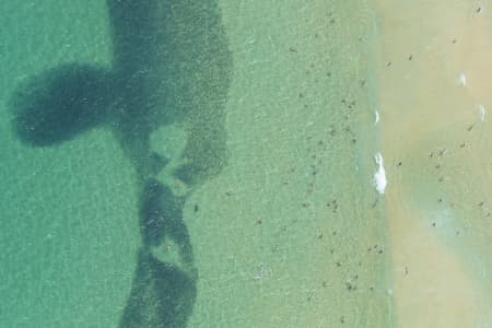 Aerial Image of SEAL SERIES BONDI