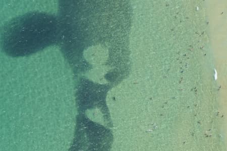 Aerial Image of SEAL SERIES BONDI