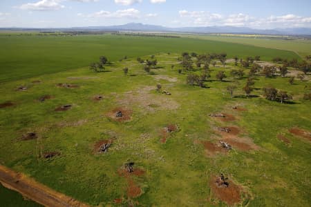 Aerial Image of LAND CLEARING, NARRABRI