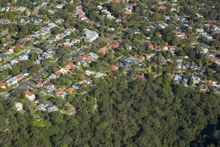 Aerial Image of CASTLECRAG & MIDDLE COVE