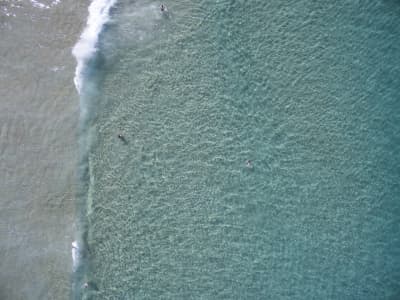 Aerial Image of BONDI BEACH VERTICAL