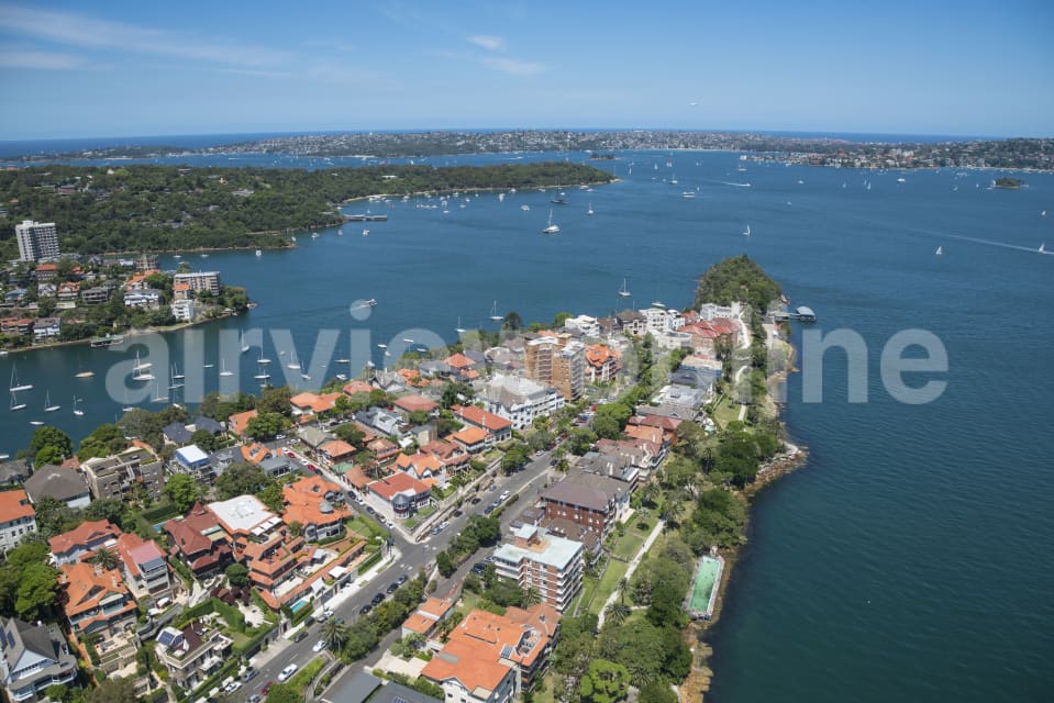 Aerial Image of Cremorne Point