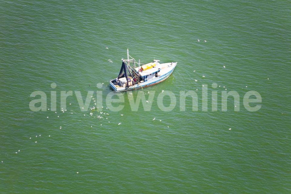 Aerial Image of Boating Life - Hunter River, Newcastle