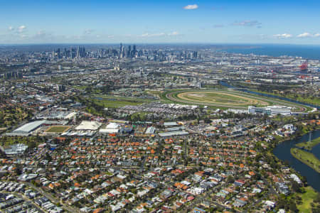 Aerial Image of ASCOT VALE