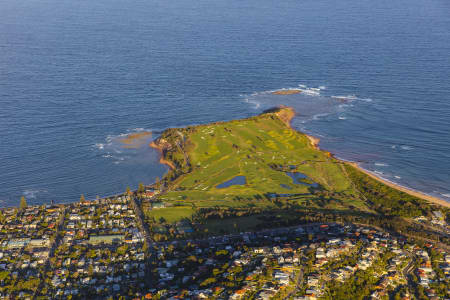 Aerial Image of COLLAROY GOLDEN LIGHT