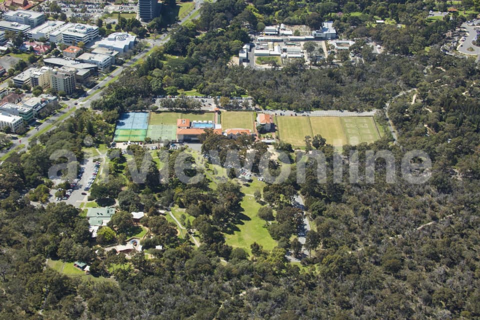 Aerial Image of Hale Oval