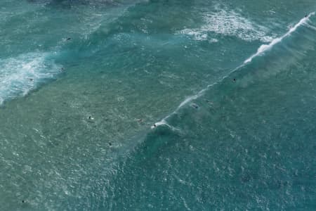 Aerial Image of SURFING SERIES - BONDI