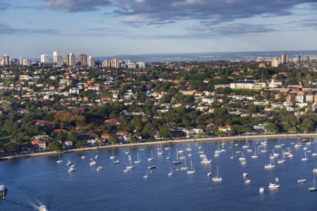 Aerial Image of ROSE BAY