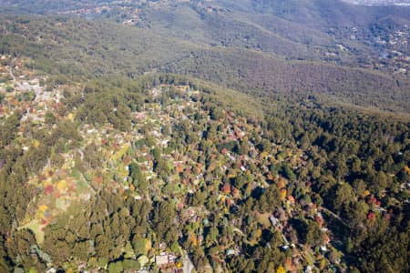 Aerial Image of DANDENONG RANGES