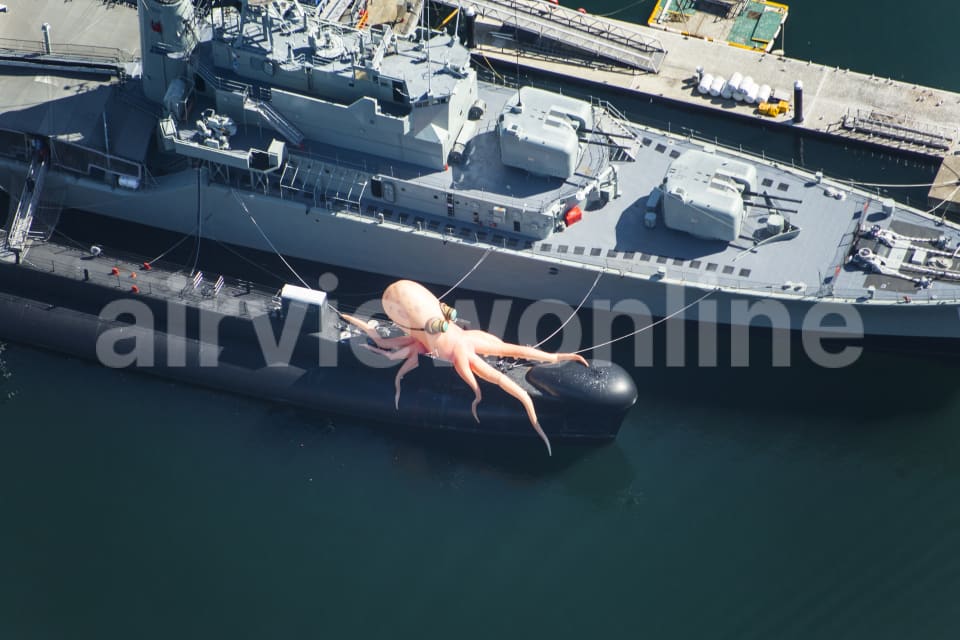 Aerial Image of Submarine Octopus
