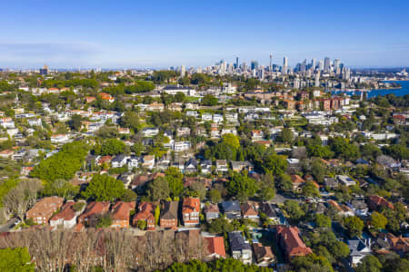 Aerial Image of ROSE BAY