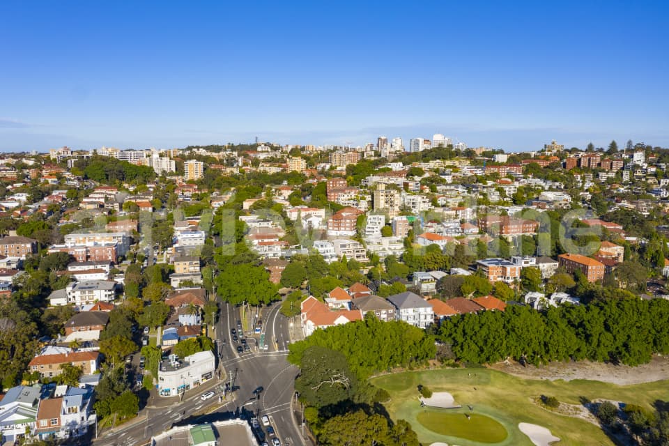 Aerial Image of Bellevue Hill