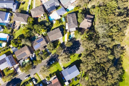 Aerial Image of DEE WHY HOMES