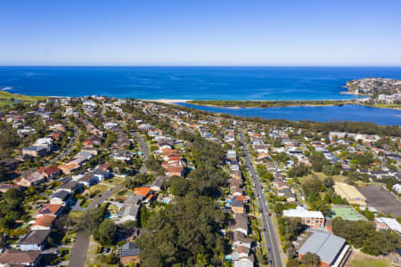 Aerial Image of COLLAROY HOMES