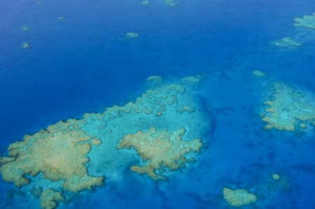 Aerial Image of TREASURE ISLAND FIJI