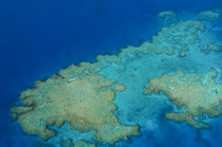 Aerial Image of TREASURE ISLAND FIJI