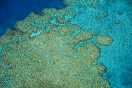 Aerial Image of TREASURE ISLAND FIJI