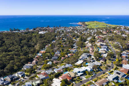 Aerial Image of COLLAROY HOMES