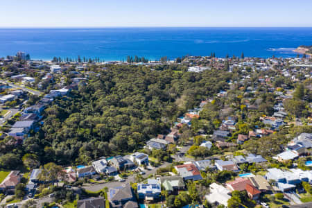 Aerial Image of COLLAROY HOMES