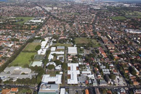 Aerial Image of RANDWICK