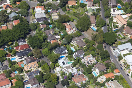 Aerial Image of ROSE BAY