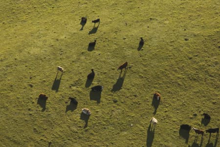 Aerial Image of COBARGO