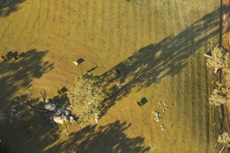 Aerial Image of BEMBOKA