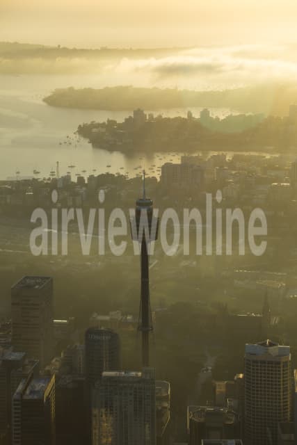 Aerial Image of Sydney Eye Tower Dawn