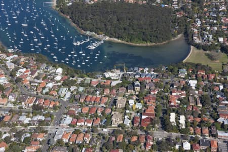 Aerial Image of SYDNEY ROAD, BALGOWLAH