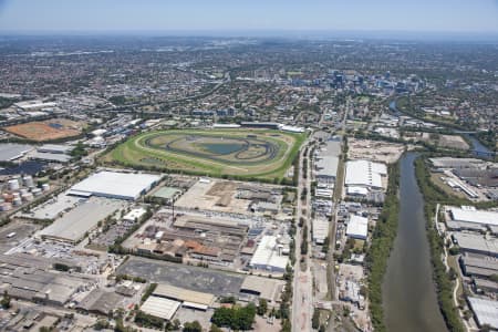 Aerial Image of CAMELLIA