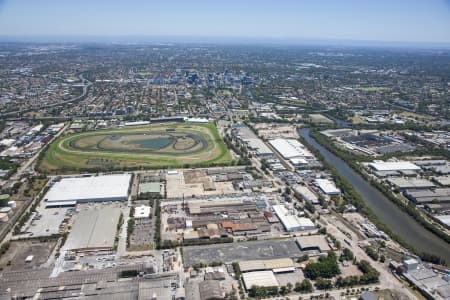 Aerial Image of CAMELLIA